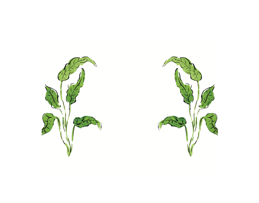 Jungle Boogie Palm Place Card Set