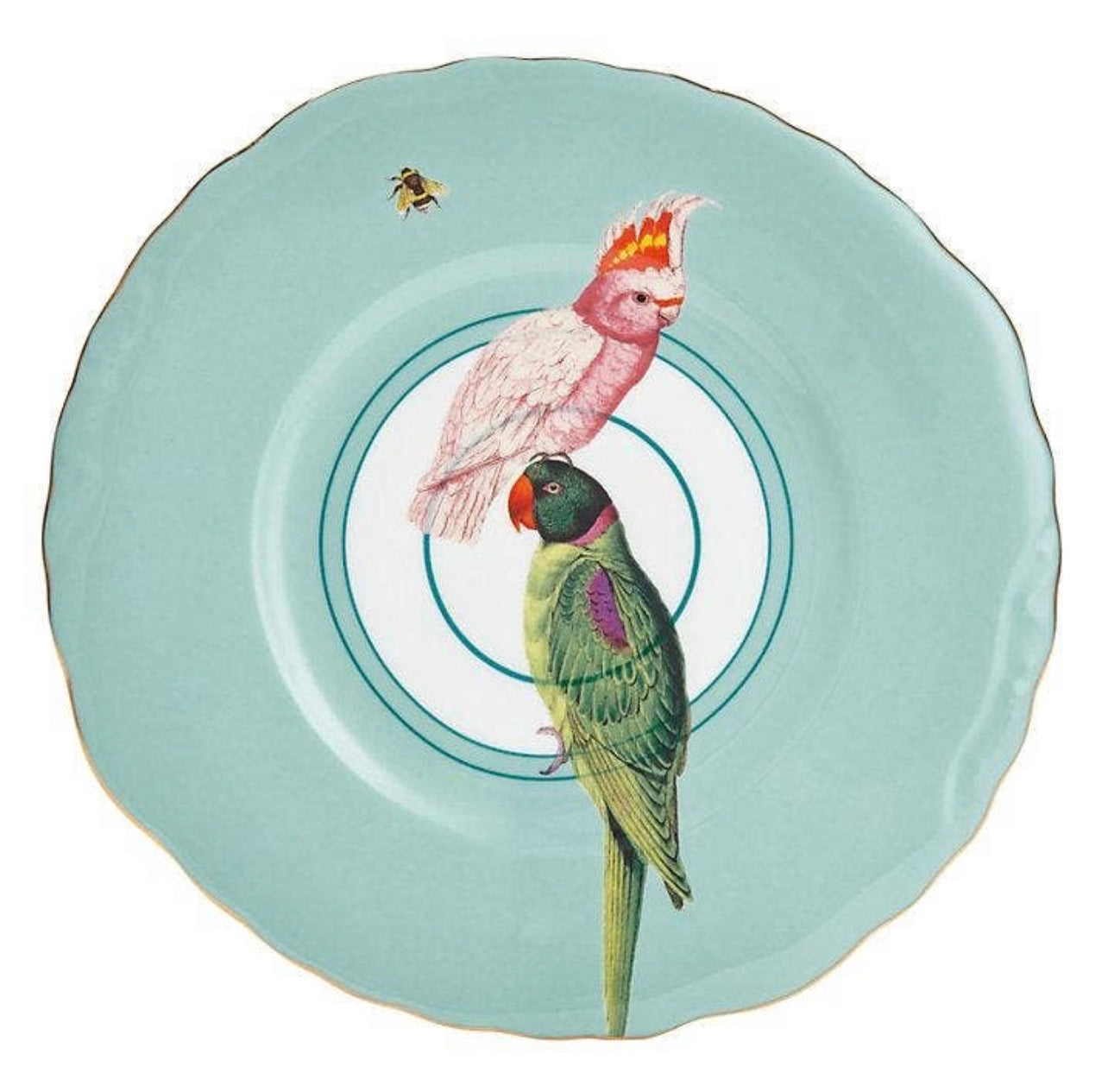 Parrot Plate