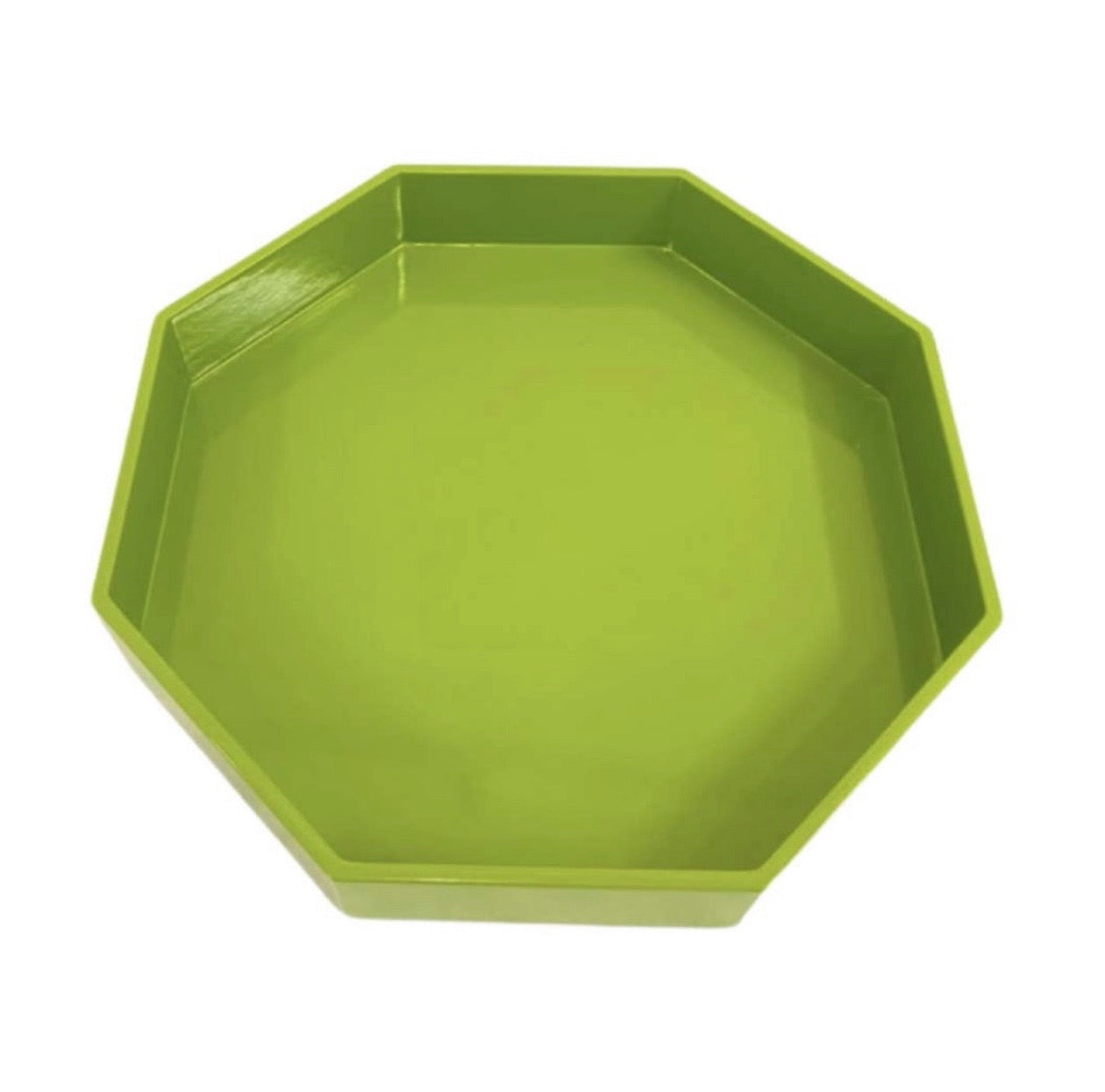 Small Octagonal Lacquered Tray, Parrot