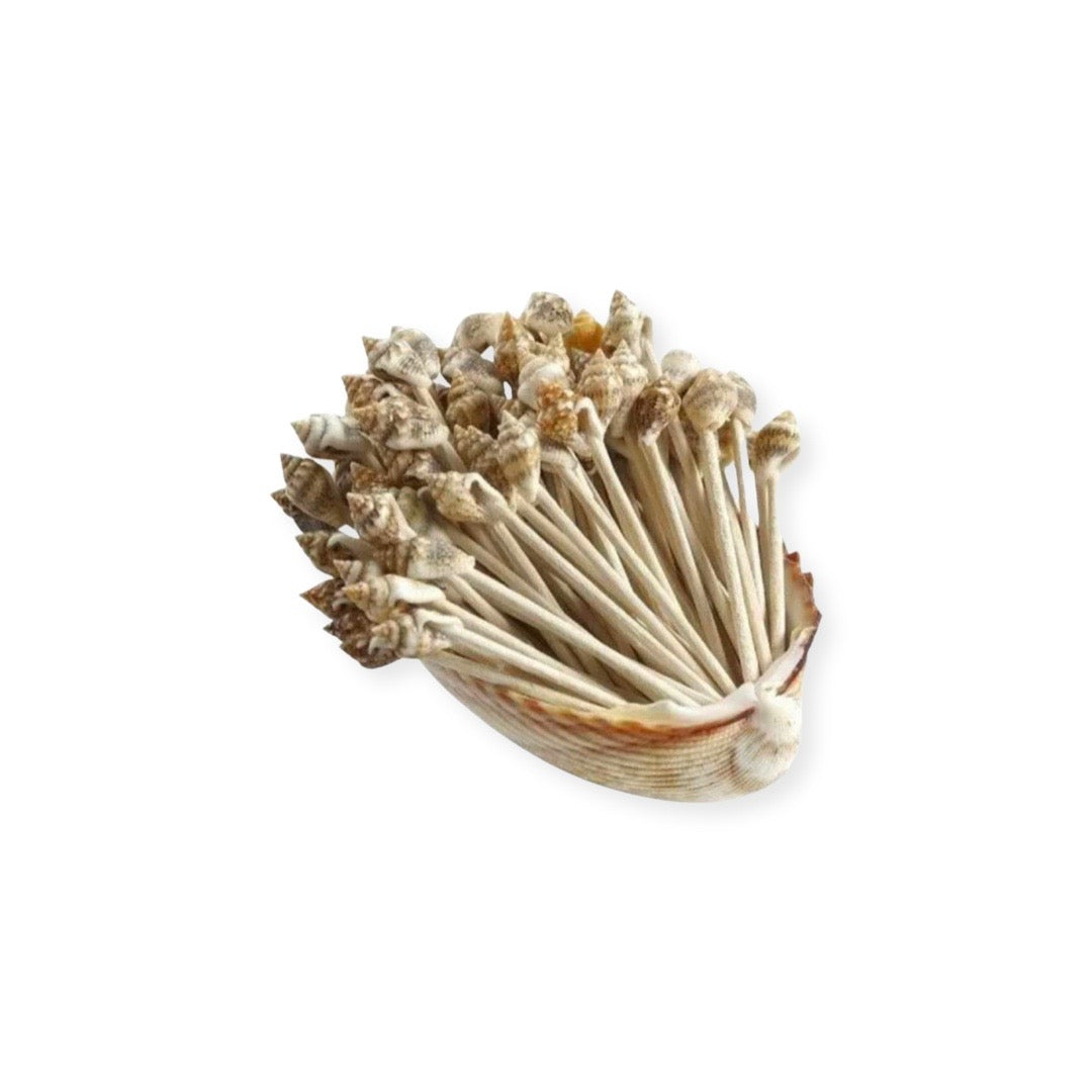 Shell Toothpicks small